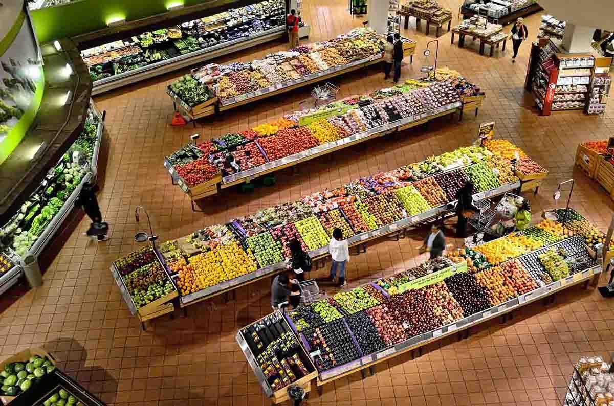 Alimentació