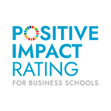 POSITIVE IMPACT RATING (PIR)