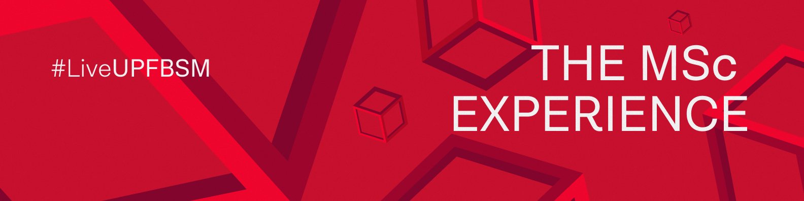 The MSc experience 