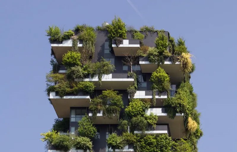 edificio cubierto vegetación