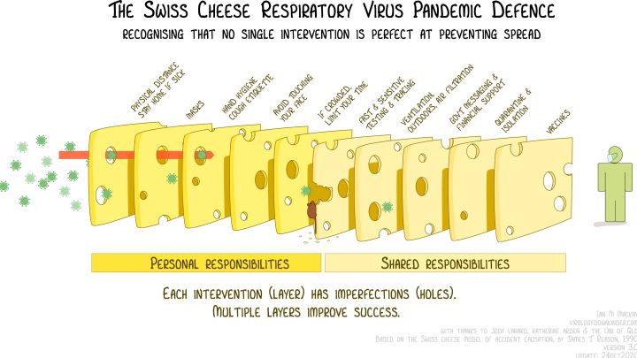 cheese covid