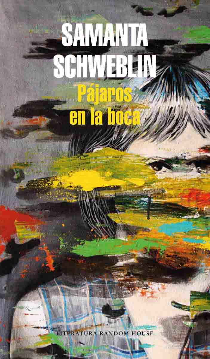 Portada del libro "pájaros" con manchas de colores tapando el dibujo de una chica